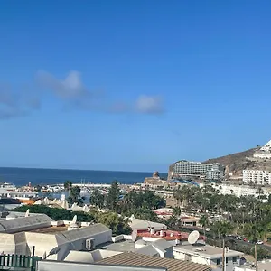 Rosa Amarilla Puerto Rico (Gran Canaria)